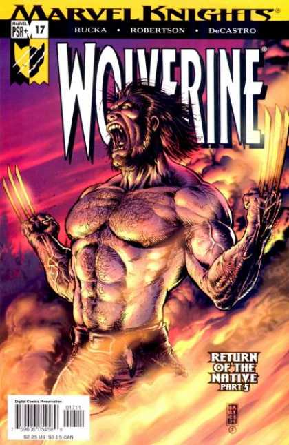 Wolverine (2003) 17 - Darick Robertson