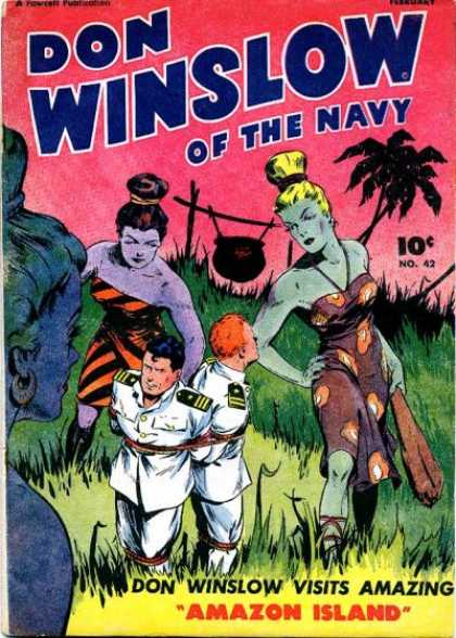 Don Winslow of the Navy 41