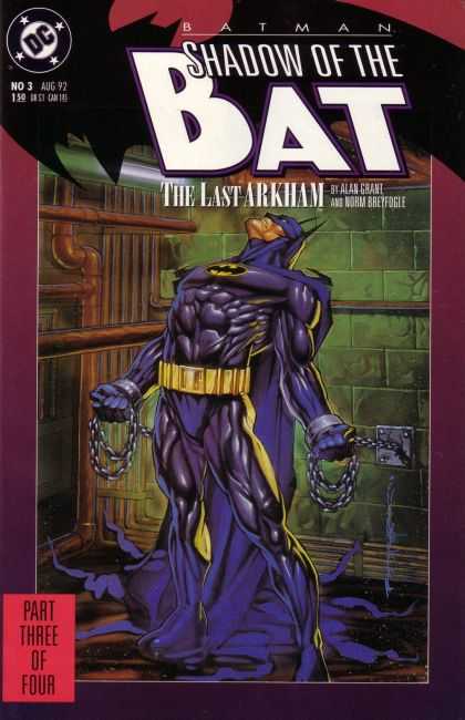 Batman: Shadow of the Bat 3 - Brian Stelfreeze