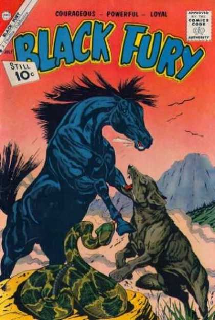 Black Fury 31 - Horse - Snack - Coyote - Fight - Mountains