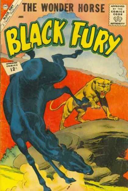 Black Fury 36 - Of Course Its A Horse - Here Kitty Kitty - Anger Has A Color And Apparently Its Black - Unleash The Fury - Who Will Win