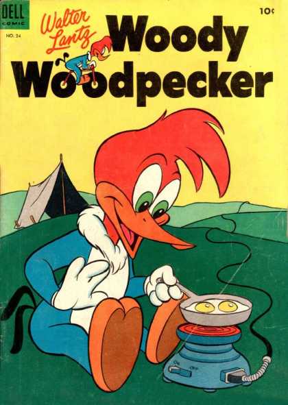 Woody Woodpecker 24 - Walter Lantz - Dell - Wire - Current - No24